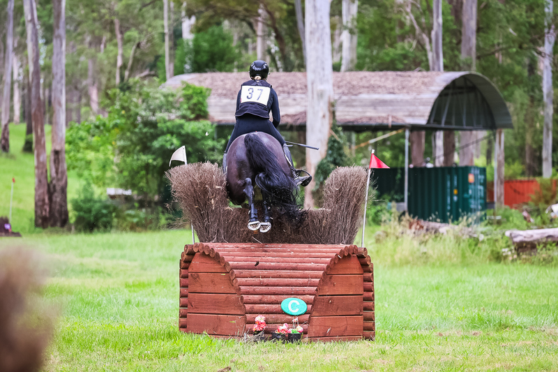 TEG March ODE 2026 3 Star XC-4333.jpg