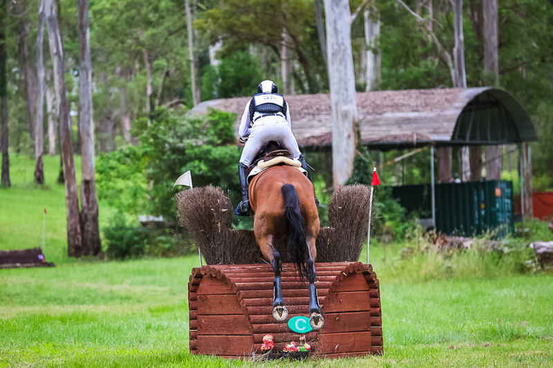 TEG March ODE 2026 3 Star XC-4356.jpg