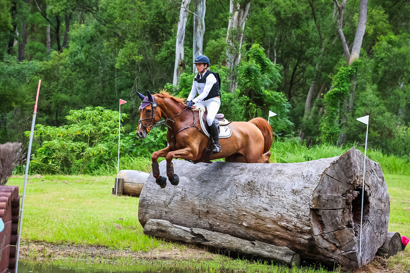 TEG March ODE 2026 4 Star XC-4369.jpg