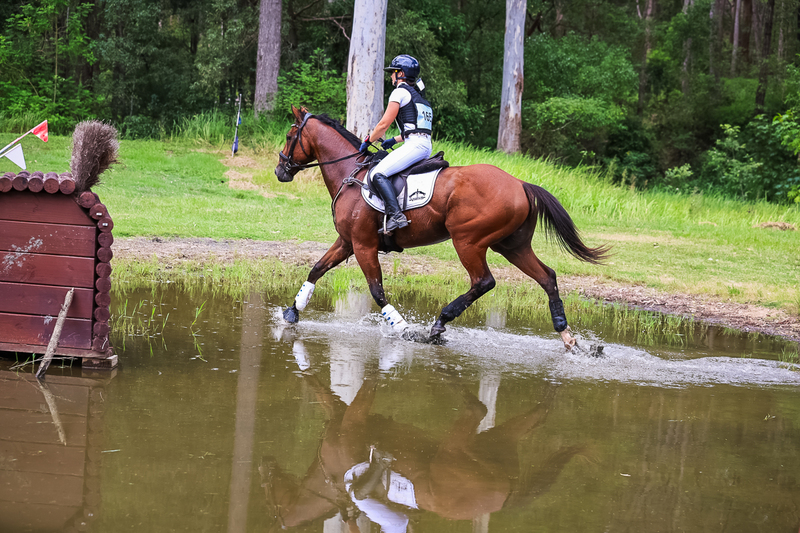 TEG March ODE 2026 60 XC-5315.jpg