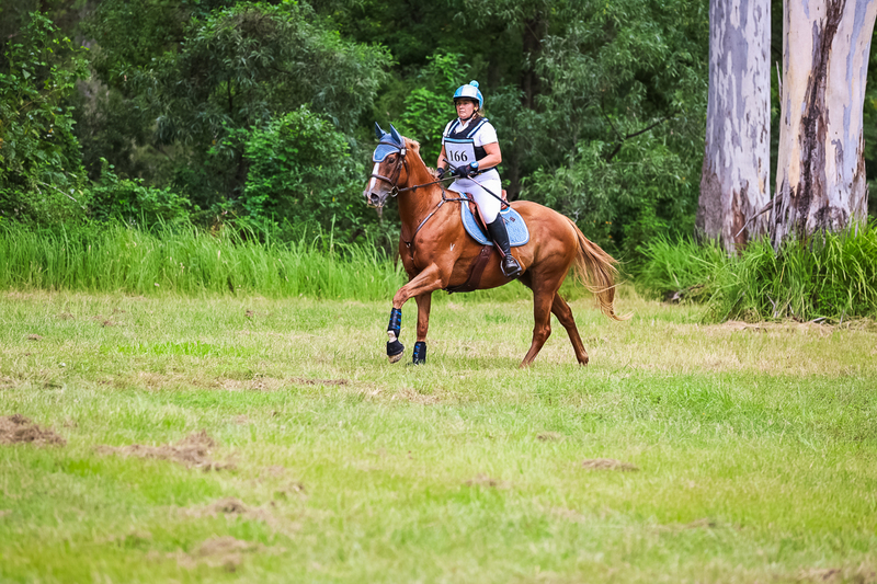 TEG March ODE 2026 60 XC-5320.jpg