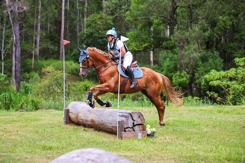 TEG March ODE 2026 60 XC-5322.jpg