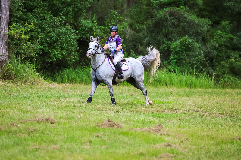 TEG March ODE 2026 60 XC-5329.jpg