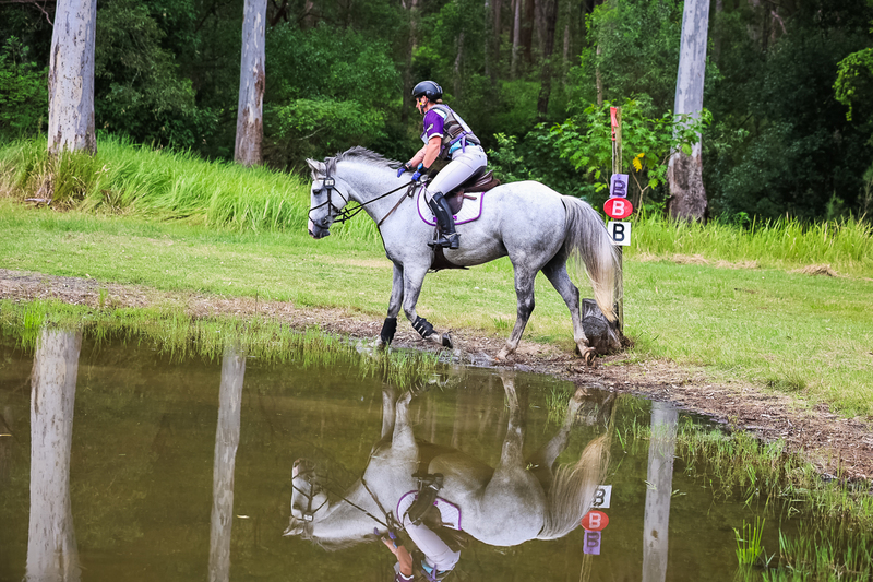 TEG March ODE 2026 60 XC-5333.jpg