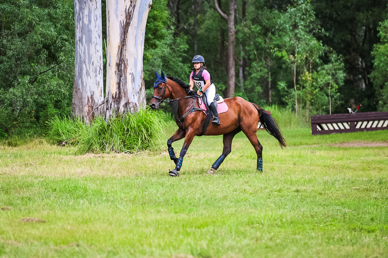 TEG March ODE 2026 60 XC-5335.jpg