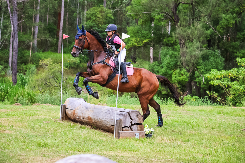 TEG March ODE 2026 60 XC-5340.jpg