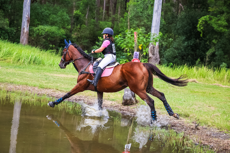 TEG March ODE 2026 60 XC-5343.jpg