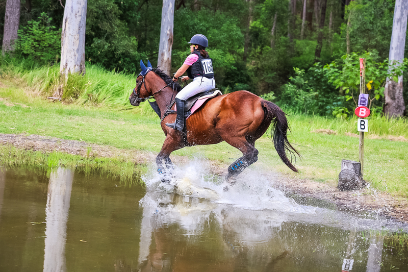 TEG March ODE 2026 60 XC-5346.jpg