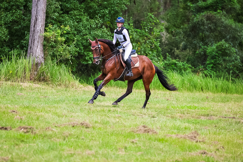 TEG March ODE 2026 60 XC-5350.jpg