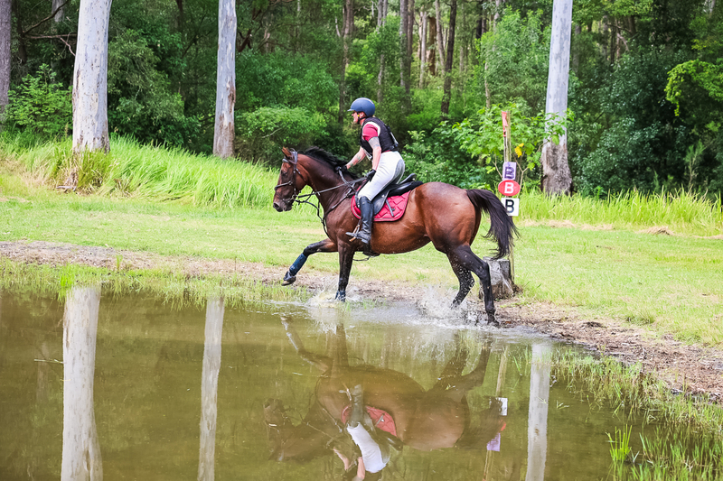 TEG March ODE 2026 60 XC-5366.jpg