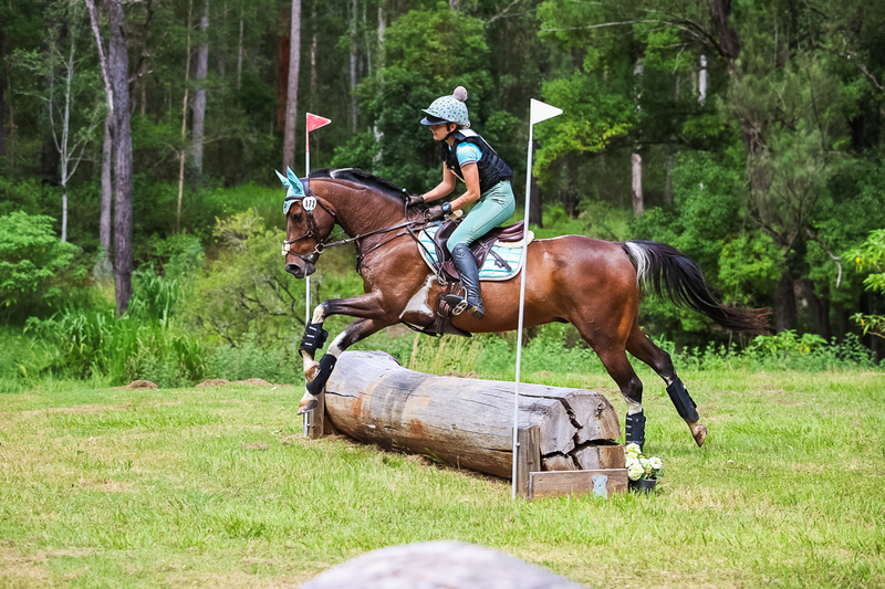 TEG March ODE 2026 60 XC-5375.jpg