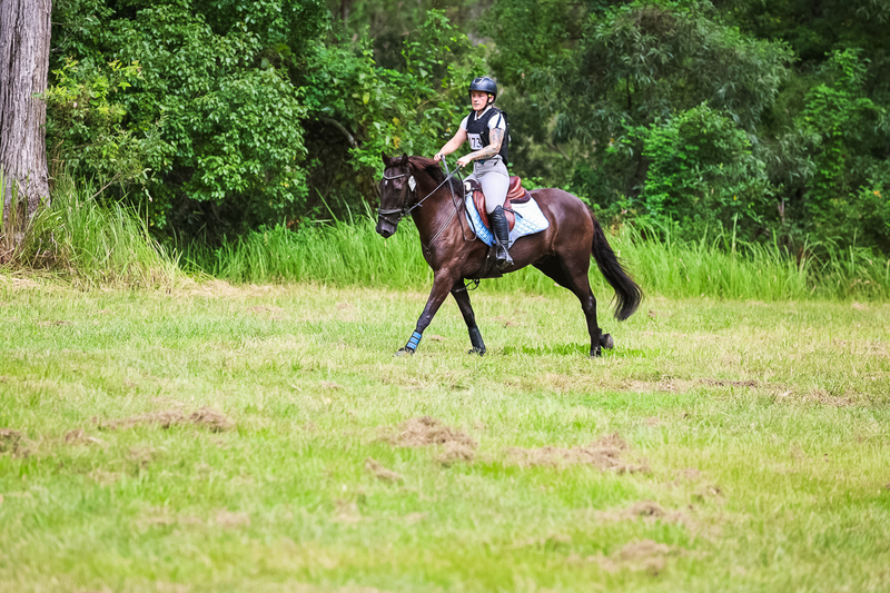 TEG March ODE 2026 60 XC-5391.jpg