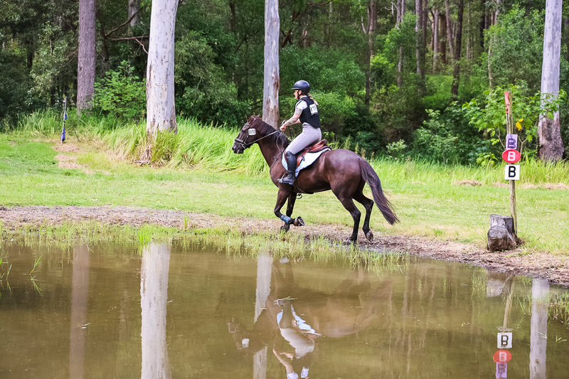 TEG March ODE 2026 60 XC-5398.jpg