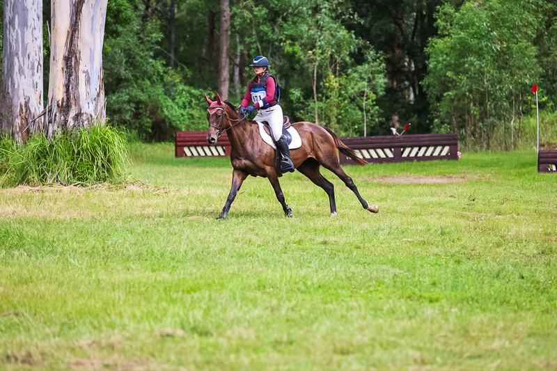 TEG March ODE 2026 60 XC-5402.jpg