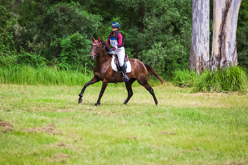 TEG March ODE 2026 60 XC-5404.jpg