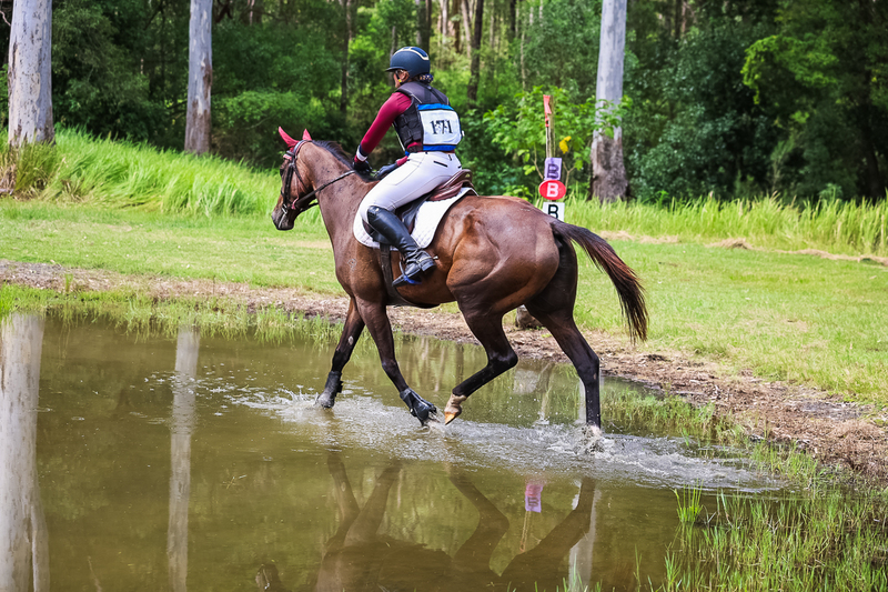 TEG March ODE 2026 60 XC-5408.jpg