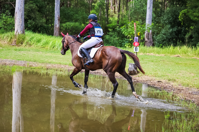 TEG March ODE 2026 60 XC-5410.jpg