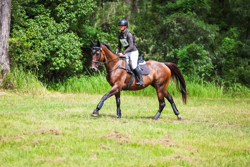 TEG March ODE 2026 60 XC-5413.jpg