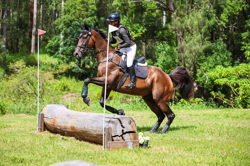 TEG March ODE 2026 60 XC-5417.jpg