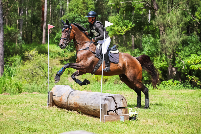 TEG March ODE 2026 60 XC-5418.jpg