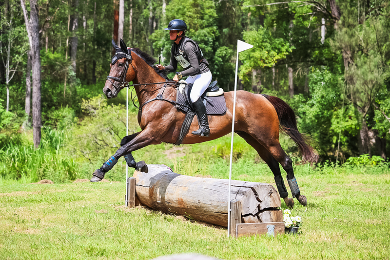 TEG March ODE 2026 60 XC-5419.jpg