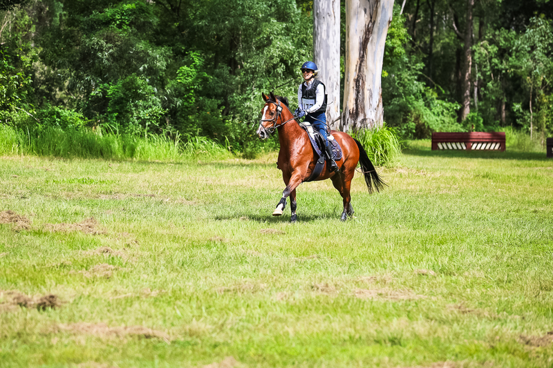 TEG March ODE 2026 60 XC-5423.jpg