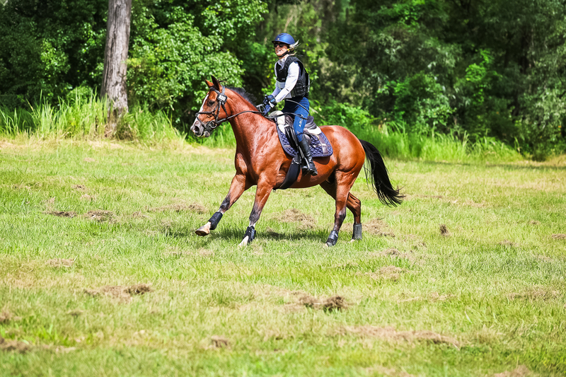 TEG March ODE 2026 60 XC-5426.jpg