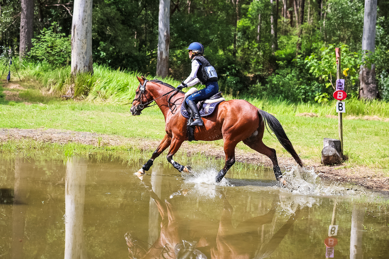 TEG March ODE 2026 60 XC-5431.jpg