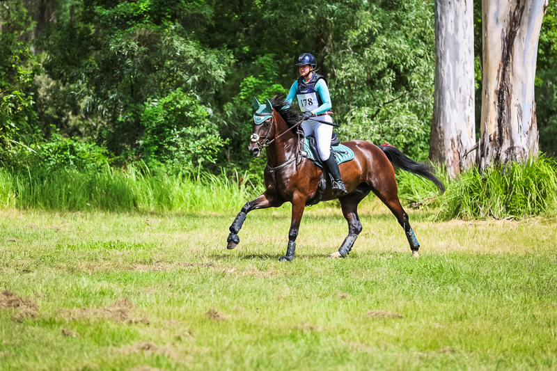 TEG March ODE 2026 60 XC-5435.jpg