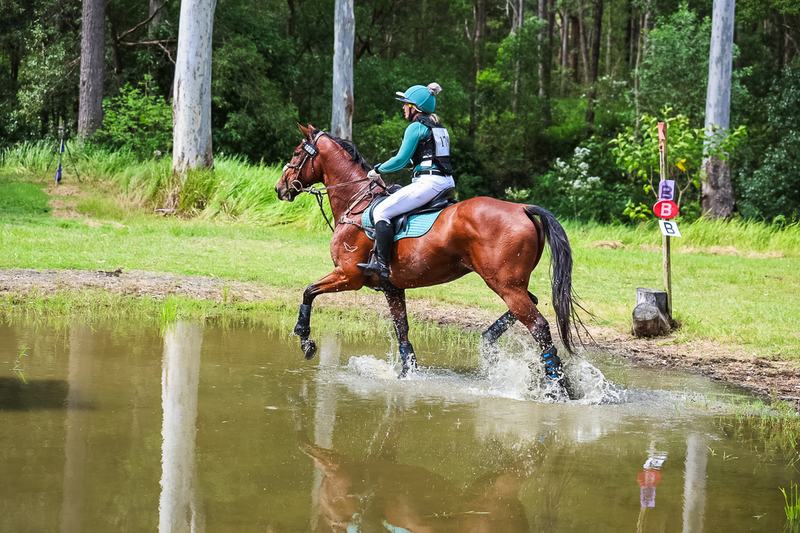 TEG March ODE 2026 60 XC-5452.jpg