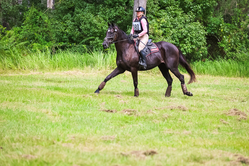 TEG March ODE 2026 60 XC-5454.jpg