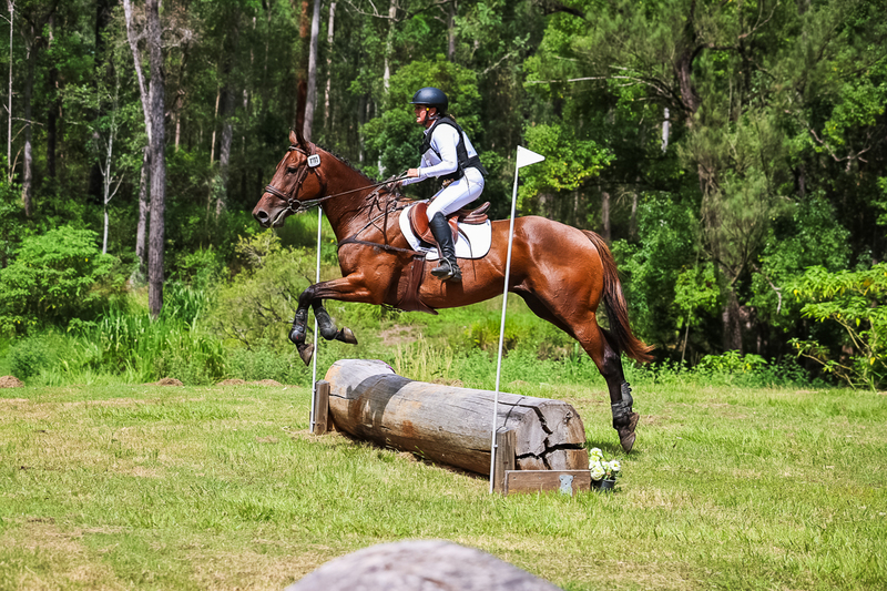 TEG March ODE 2026 60 XC-5467.jpg