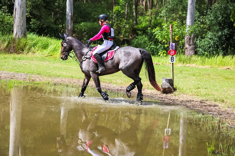 TEG March ODE 2026 60 XC-5470.jpg