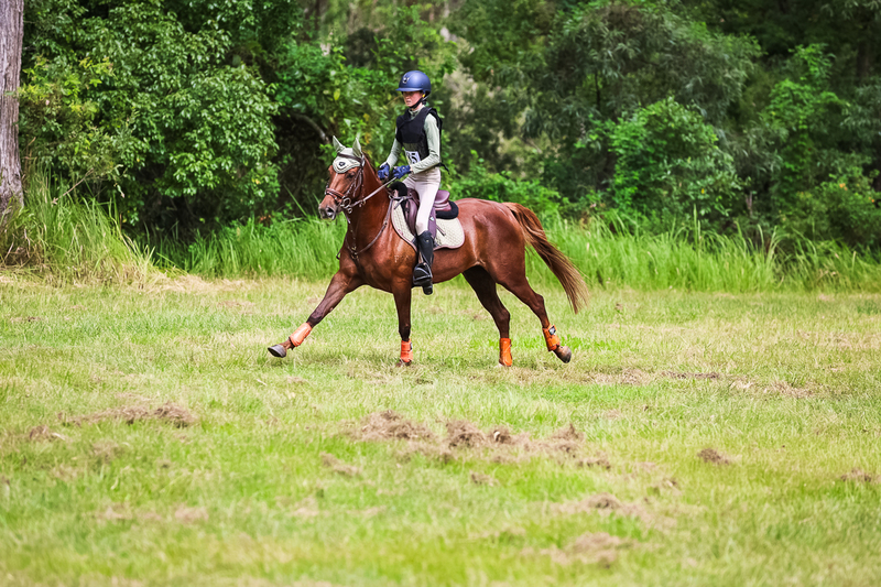 TEG March ODE 2026 60 XC-5477.jpg