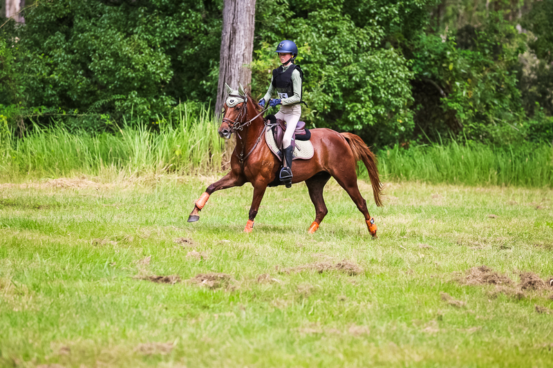 TEG March ODE 2026 60 XC-5478.jpg