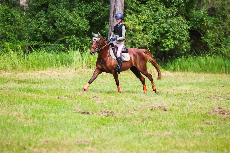 TEG March ODE 2026 60 XC-5479.jpg