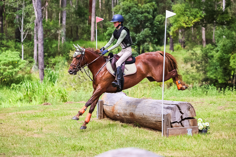 TEG March ODE 2026 60 XC-5482.jpg