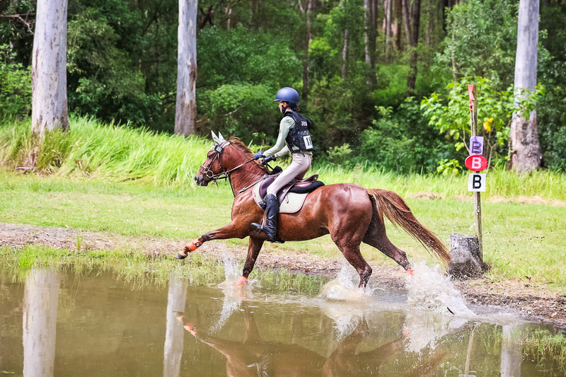 TEG March ODE 2026 60 XC-5484.jpg