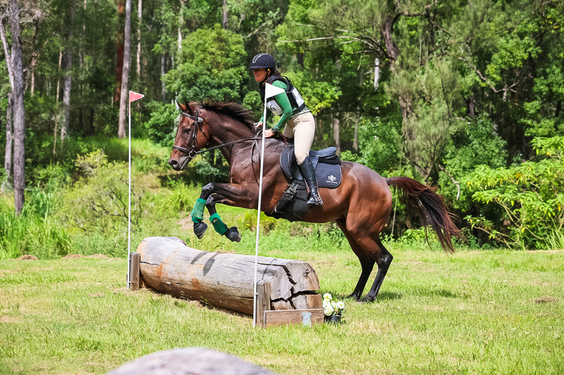 TEG March ODE 2026 60 XC-5488.jpg