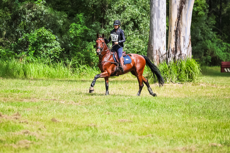 TEG March ODE 2026 60 XC-5493.jpg