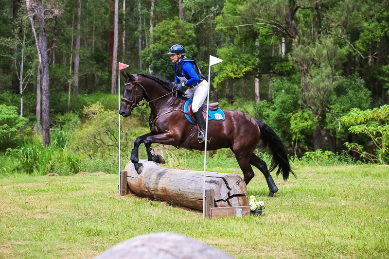 TEG March ODE 2026 60 XC-5504.jpg