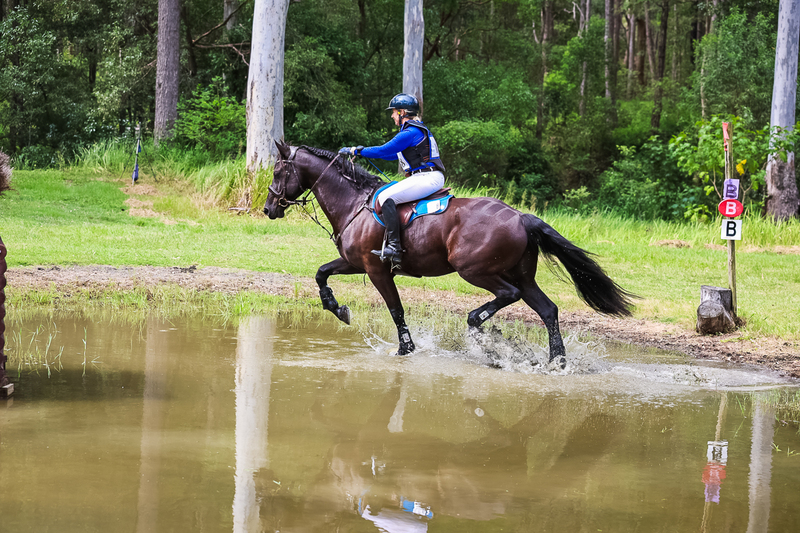 TEG March ODE 2026 60 XC-5508.jpg