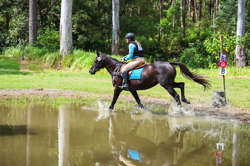 TEG March ODE 2026 60 XC-5518.jpg