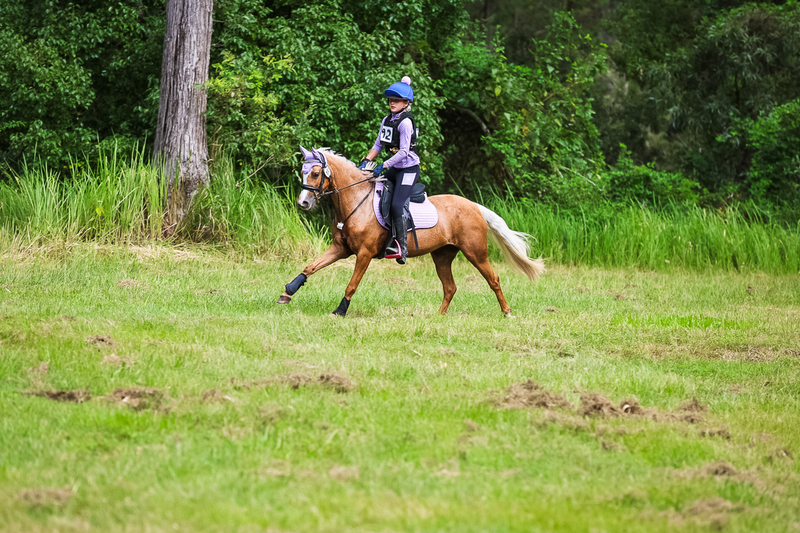 TEG March ODE 2026 60 XC-5523.jpg