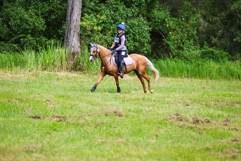 TEG March ODE 2026 60 XC-5524.jpg