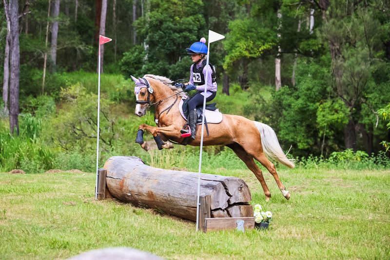 TEG March ODE 2026 60 XC-5525.jpg