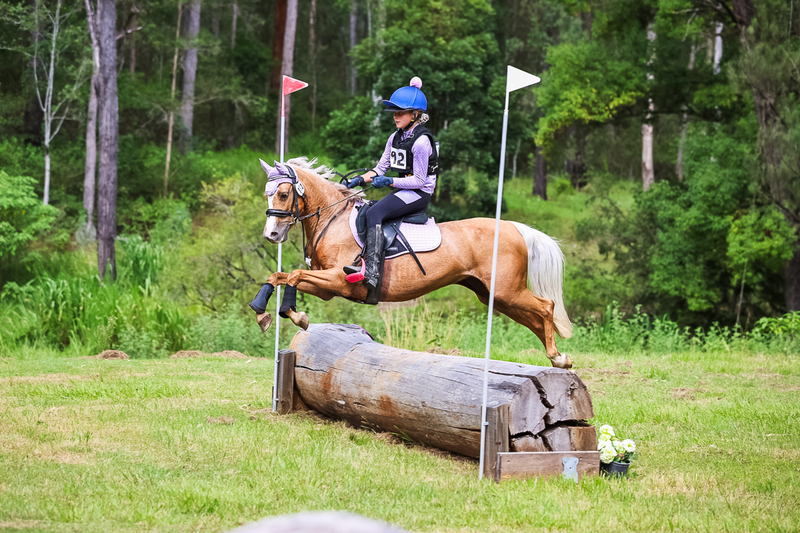 TEG March ODE 2026 60 XC-5526.jpg