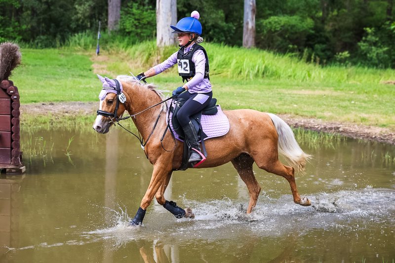 TEG March ODE 2026 60 XC-5530.jpg