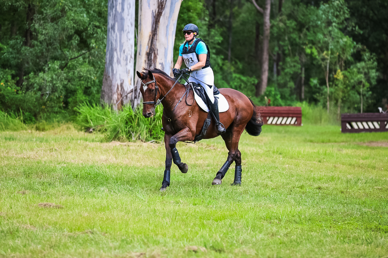 TEG March ODE 2026 60 XC-5533.jpg