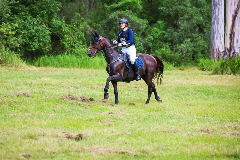 TEG March ODE 2026 60 XC-5545.jpg